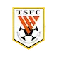 Shandong Taishan Football Club