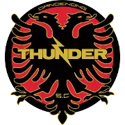 /image-webp/football/team/21b95f24eea9500e1147ed57a68a3ff8.webp